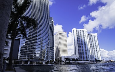 Miami waterfront skyline